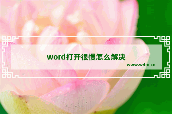 word打开很慢怎么解决