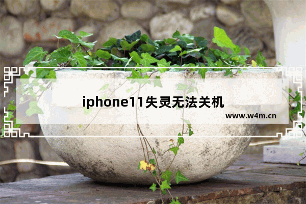 iphone11失灵无法关机