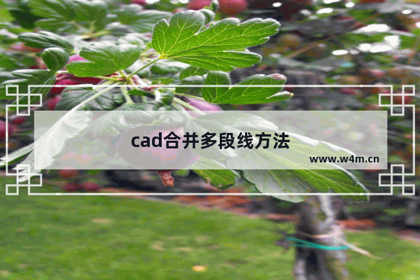 cad合并多段线方法