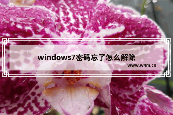 windows7密码忘了怎么解除