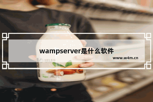 wampserver是什么软件