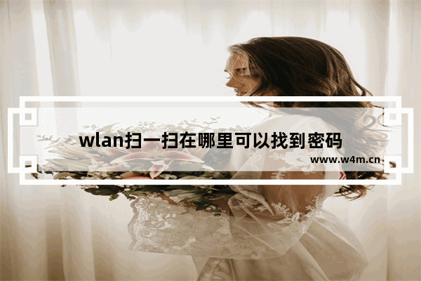 wlan扫一扫在哪里可以找到密码