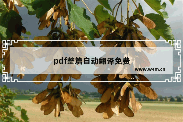 pdf整篇自动翻译免费