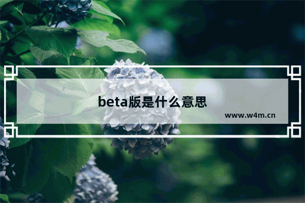 beta版是什么意思