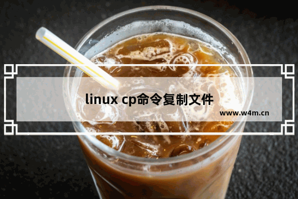 linux cp命令复制文件