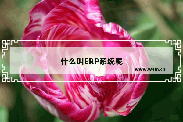 什么叫ERP系统呢