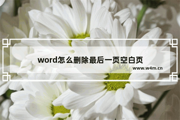 word怎么删除最后一页空白页