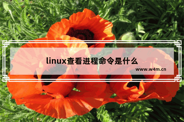 linux查看进程命令是什么