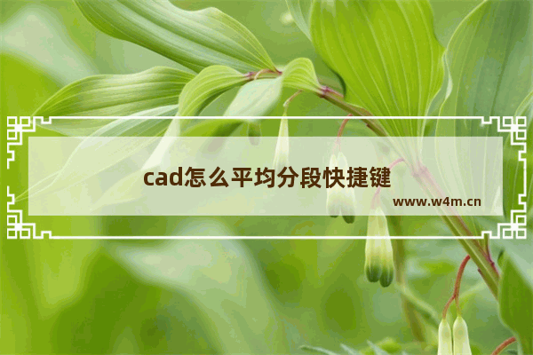 cad怎么平均分段快捷键