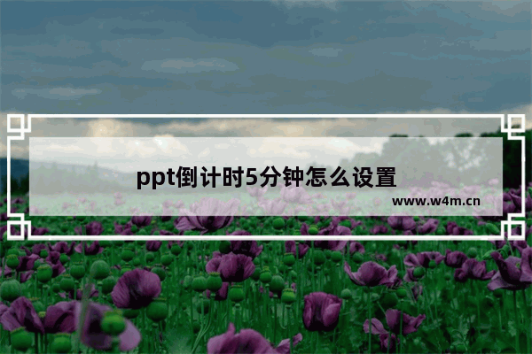 ppt倒计时5分钟怎么设置