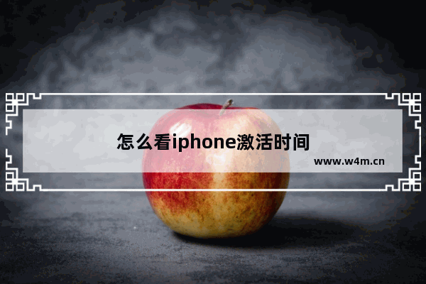 怎么看iphone激活时间