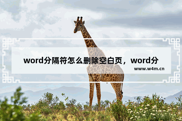 word分隔符怎么删除空白页，word分隔符删不掉怎么解决