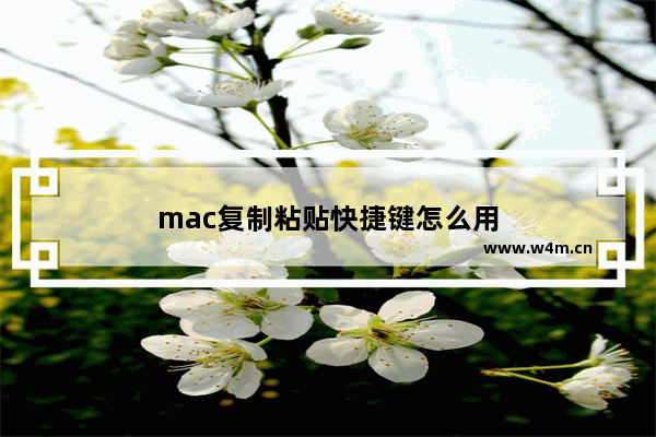 mac复制粘贴快捷键怎么用