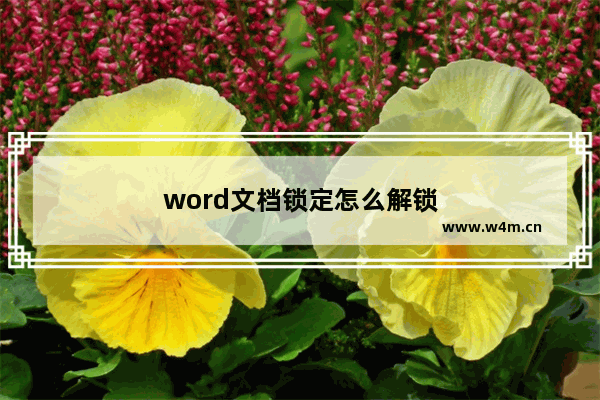 word文档锁定怎么解锁