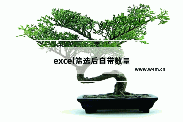 excel筛选后自带数量