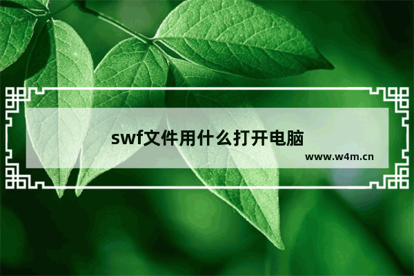 swf文件用什么打开电脑