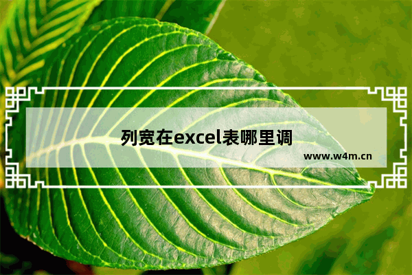 列宽在excel表哪里调