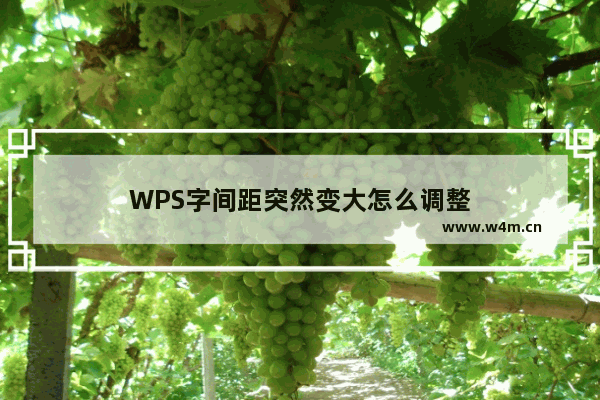 WPS字间距突然变大怎么调整