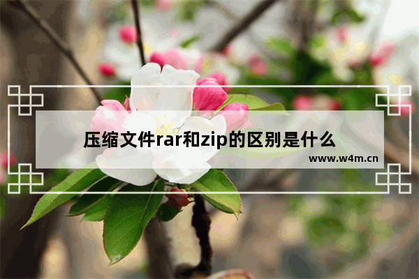 压缩文件rar和zip的区别是什么