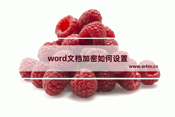 word文档加密如何设置