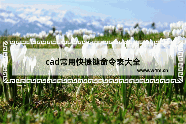 cad常用快捷键命令表大全