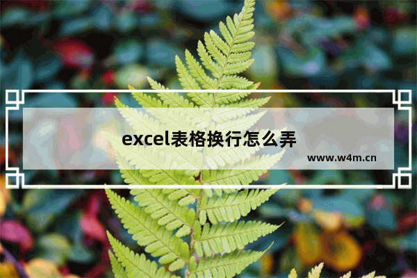 excel表格换行怎么弄