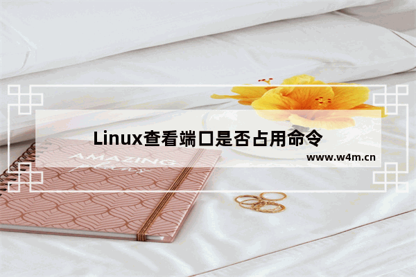 Linux查看端口是否占用命令