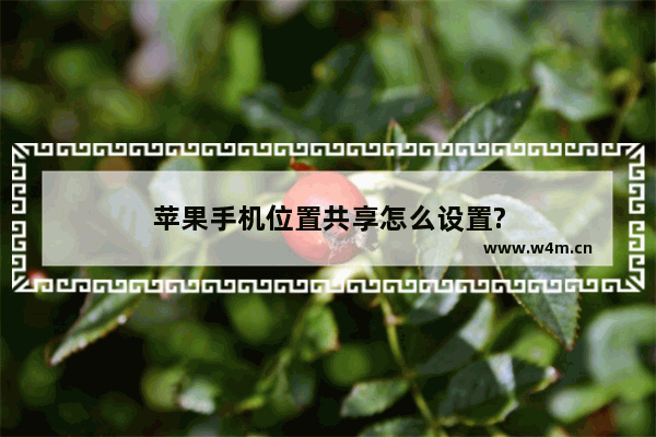 苹果手机位置共享怎么设置?