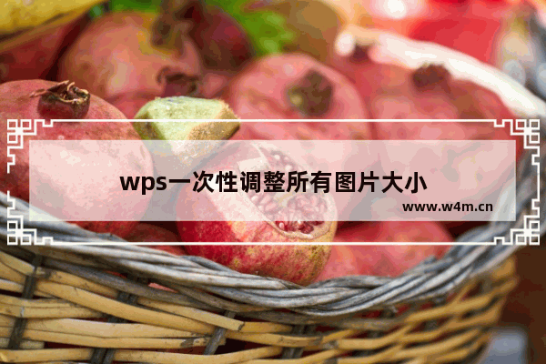 wps一次性调整所有图片大小