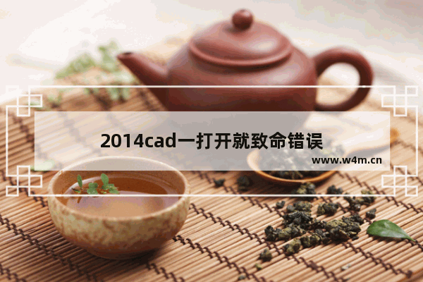 2014cad一打开就致命错误