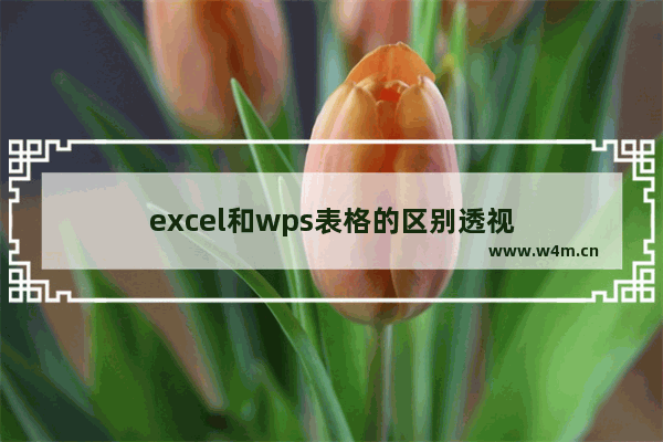 excel和wps表格的区别透视