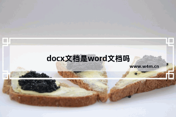 docx文档是word文档吗