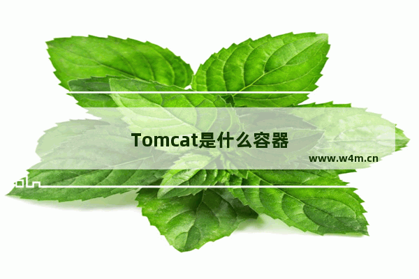 Tomcat是什么容器