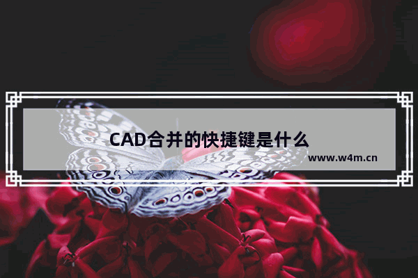 CAD合并的快捷键是什么