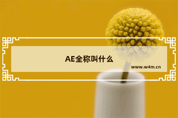 AE全称叫什么