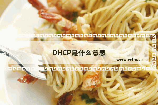 DHCP是什么意思