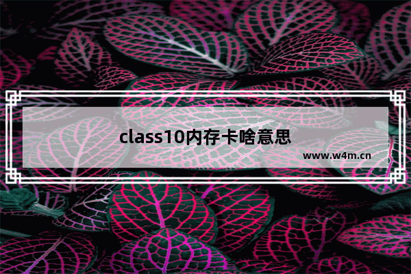 class10内存卡啥意思