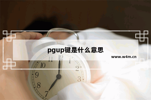 pgup键是什么意思