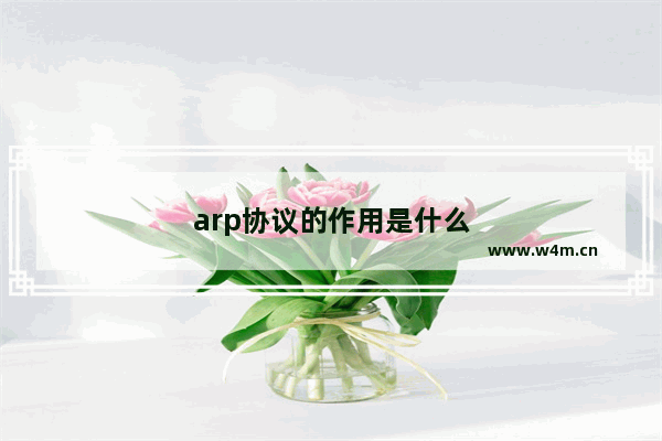 arp协议的作用是什么