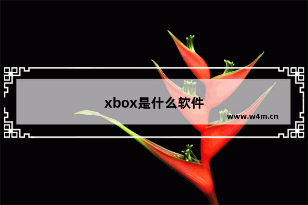 xbox是什么软件