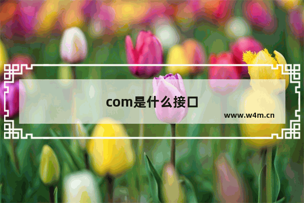 com是什么接口