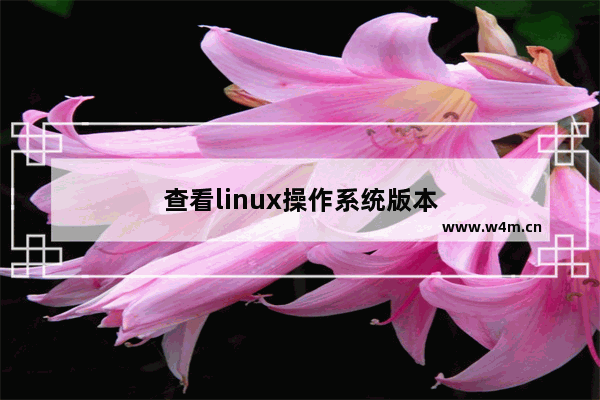 查看linux操作系统版本