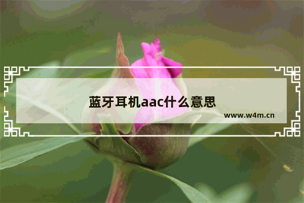 蓝牙耳机aac什么意思