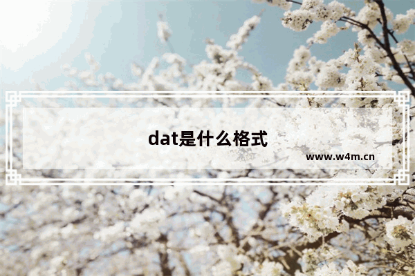 dat是什么格式