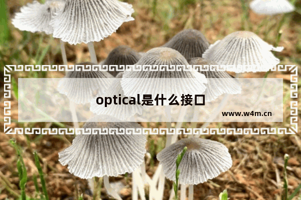 optical是什么接口