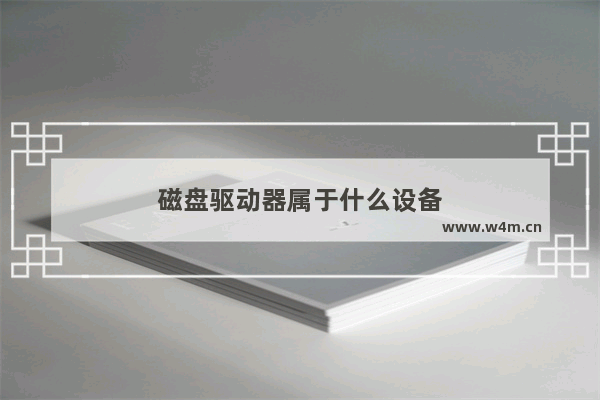 磁盘驱动器属于什么设备