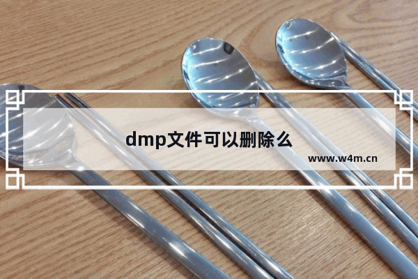 dmp文件可以删除么