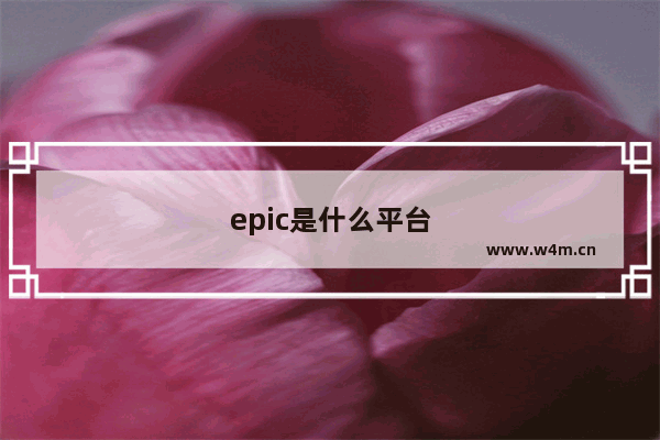 epic是什么平台