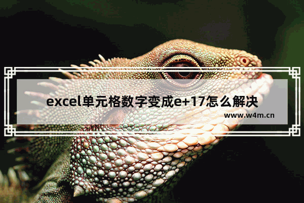 excel单元格数字变成e+17怎么解决