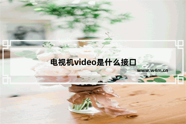 电视机video是什么接口